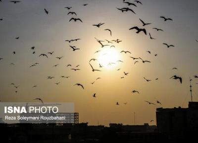 تهران در بعضی ساعات برای حساس ها ناسالم می گردد