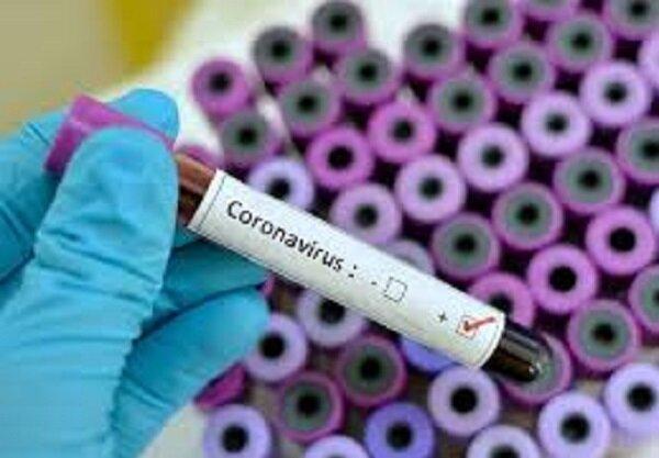 ثبت 60 مورد ابتلا به ویروس کرونا در آمریکا