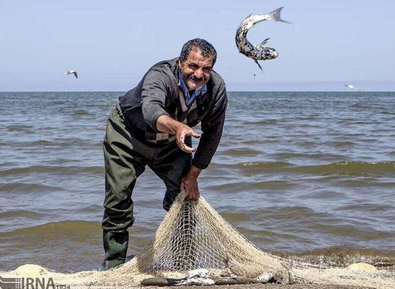 خبرنگاران صید ماهی استخوانی در گلستانی 24 درصد بیشتر شد