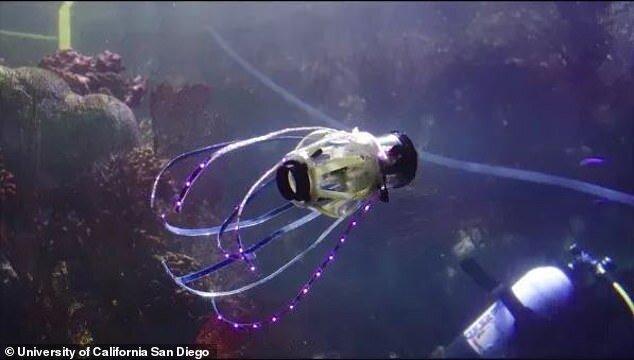 روبات زیرآبی با الهام از ماهی مرکب ساخته شد