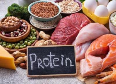 چرا پروتئین از اهمیت بالایی برخوردار است؟