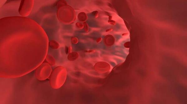 9 ماده موثر برای بهبود گردش خون در بدن