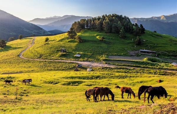 پارک ملی توشتی ، بهشتی در گرجستان Tusheti